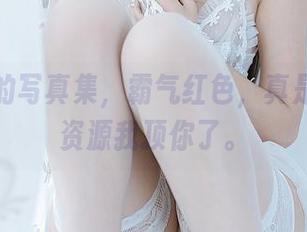不呆猫的写真集，霸气红色，真是猛兽！资源我顶你了。