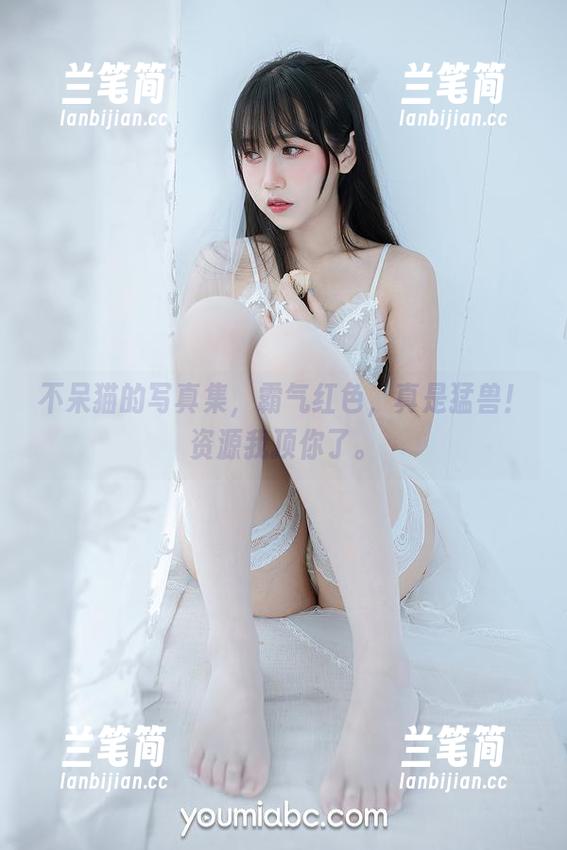 不呆猫的写真集，霸气红色，真是猛兽！资源我顶你了。
