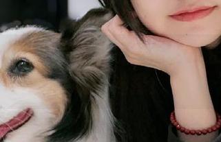 樱群的布丁狗写真，别害羞，反正又是个免费的选择！