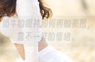 爱丝 – 奶牛的眼神和何冉的美图，套图流露不一样的情绪。